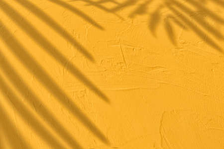 Shadow of leaves on yellow concrete wall texture background