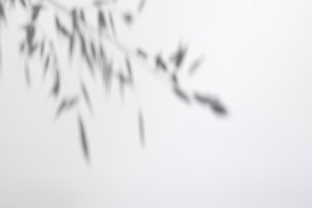 Gray shadows of garden flowers and grassの写真素材