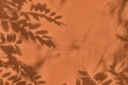 Shadow of leaves on brown concrete wall texture background