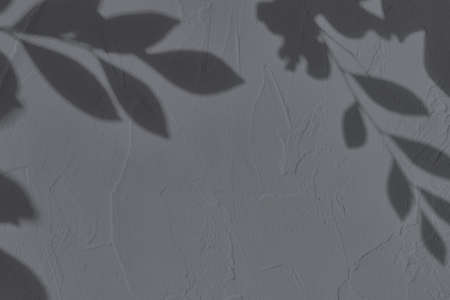 Shadow of leaves on gray concrete wall texture backgroundの写真素材