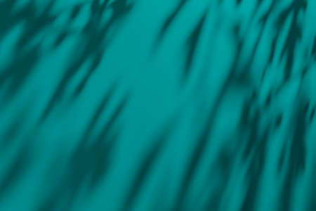 Shadow of leaves on turquoise concrete wall texture backgroundの写真素材