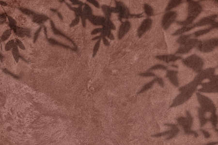 Shadow of leaves on brown concrete wall texture backgroundの写真素材