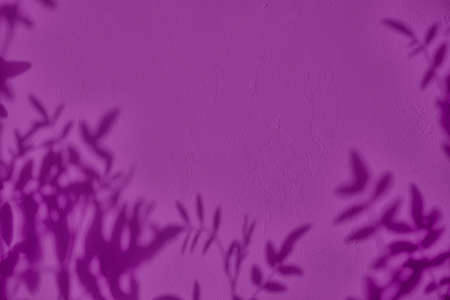 Shadow of leaves on purple concrete wall texture background