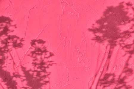Shadow of flowers on pink concrete wall texture backgroundの写真素材