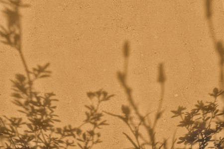 Shadow of leaves on beige concrete wall texture background
