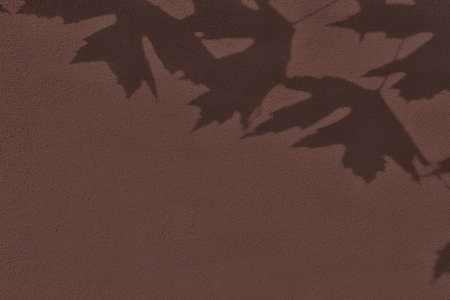 Shadow of leaves on brown concrete wall texture backgroundの写真素材