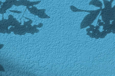 Shadow of leaves on pastel blue concrete wall texture background