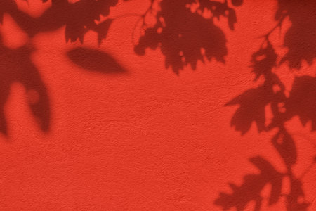 Shadow of leaves on red concrete wall texture backgroundの写真素材