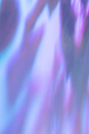 Shadow of leaves on holographic pink wall texture backgroundの写真素材