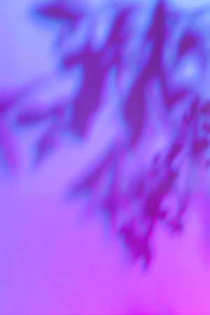 Shadow of leaves on holographic pink wall texture background