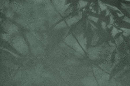 Leaves shadow on gray green concrete wall texture background