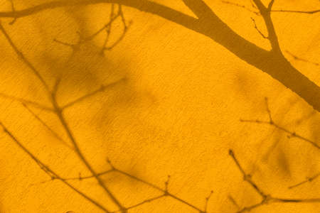 Shadow of branches on saturated yellow concrete wall texture backgroundの写真素材