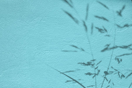 Shadow of grass on blue concrete wall texture backgroundの写真素材