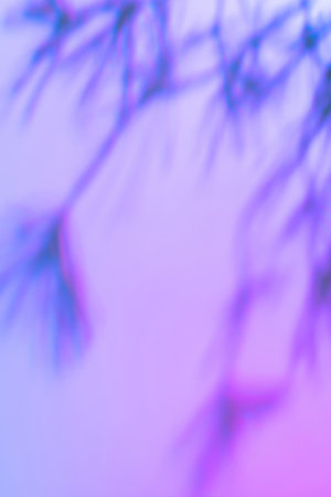 Shadow of leaves on holographic pink wall texture backgroundの写真素材