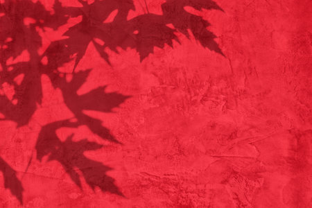 Shadow of leaves on red concrete wall texture background