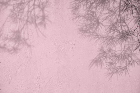 Shadow of leaves on pink concrete wall texture backgroundの写真素材