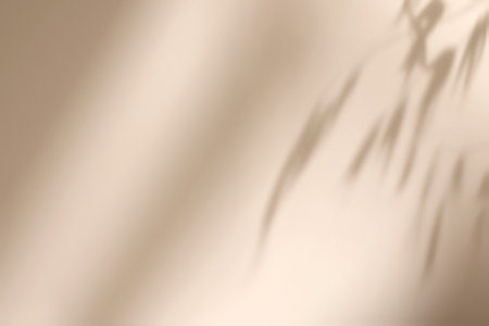 Shadow of leaves on solid beige wall texture backgroundの写真素材