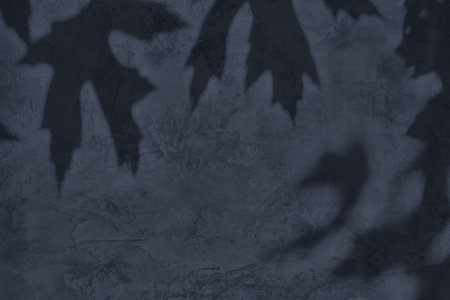 Shadow of leaves on gray concrete wall texture background