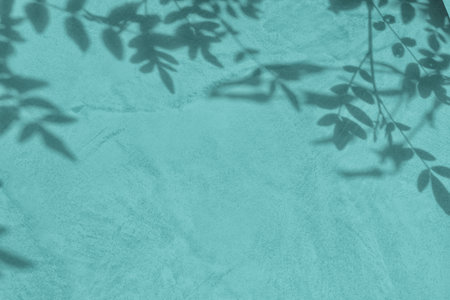 Shadow of leaves on blue concrete wall texture background