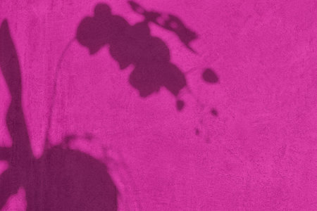 Shadow of flower on pink concrete wall texture backgroundの写真素材