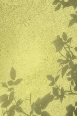 Shadow of rose leaves on yellow concrete wall texture backgroundの写真素材