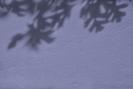 Shadow of leaves on purple concrete wall texture backgroundの写真素材