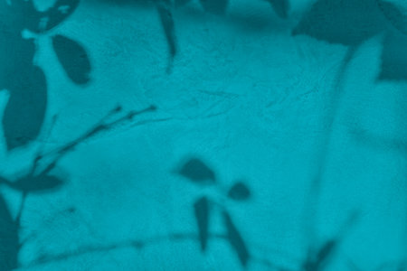 Shadow of leaves on turquoise concrete wall texture backgroundの写真素材