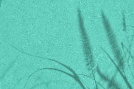 Shadow of leaves on mint green concrete wall texture backgroundの写真素材