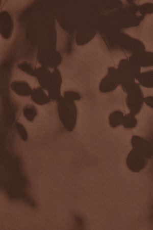 Shadow of leaves on brown concrete wall texture background