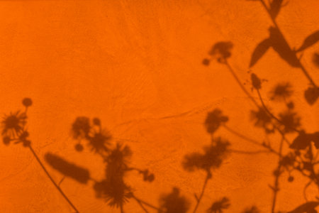 Shadow of flowers on orange concrete wall texture backgroundの写真素材