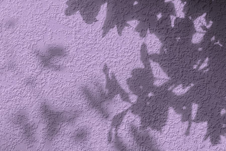 Shadow of leaves on purple concrete wall texture backgroundの写真素材