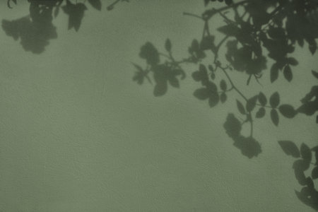 Shadow of leaves on gray green concrete wall texture background
