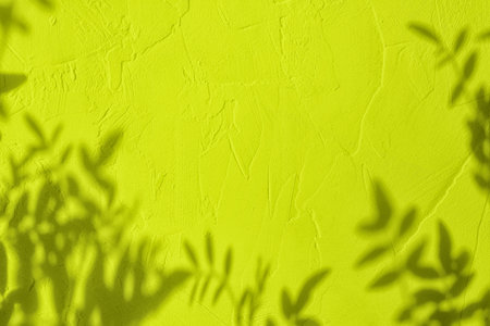 Shadow of leaves on greenish yellow concrete wall texture backgroundの写真素材