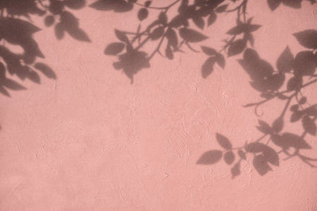 Shadow of rose leaves on pink concrete wall texture background