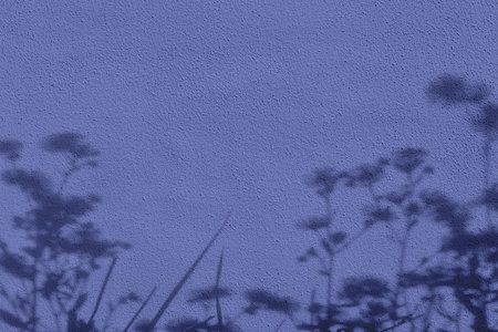 Shadow of flowers on purple concrete wall texture background