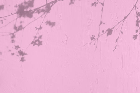 Shadow of leaves on pink concrete wall texture backgroundの写真素材