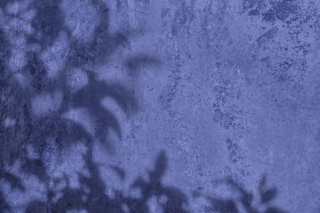 Shadow of leaves on purple concrete wall texture background