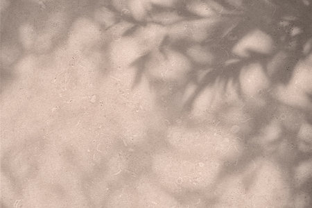 Shadow of leaves on pink concrete wall texture background