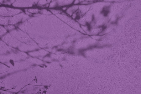 Shadow of leaves on purple concrete wall texture background