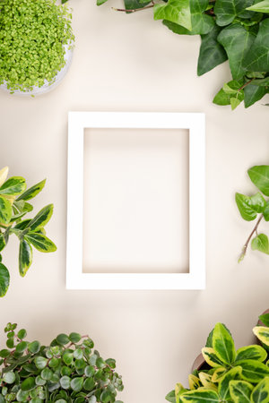 Scene with Interior poster mock up, home green plants on table in roomの写真素材