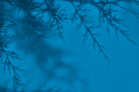 Shadow of leaves on blue concrete wall texture backgroundの写真素材
