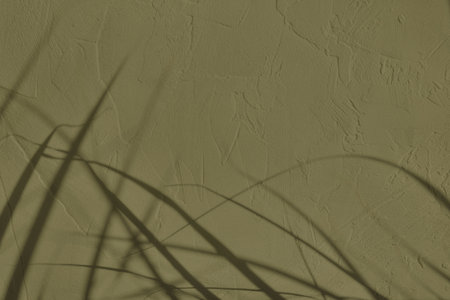 Shadow of grass on olive green concrete wall texture backgroundの写真素材