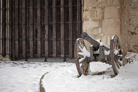 Cannon in winterの写真素材