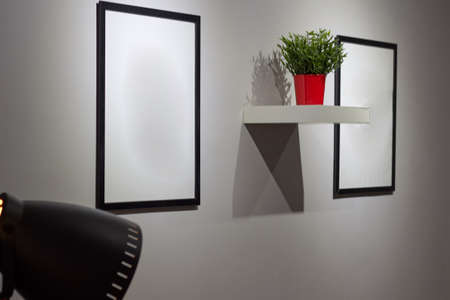 Two white paintings hang on the wall between them a green plant