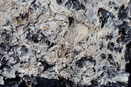 Gray ash from the oven background texture, cinder, gray ashes from the wood from the fireplace.の写真素材