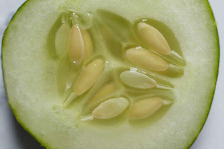 Green cucumber isolated on a white background.の写真素材