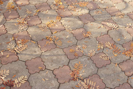 Fallen leaves lie on the paving stones in the autumn city park.の写真素材