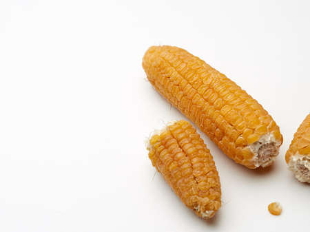 Ears of delicious yellow corn on a white background.の写真素材