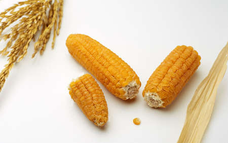 Yellow corn cobs dry seeds concept diet proper nutrition.の写真素材