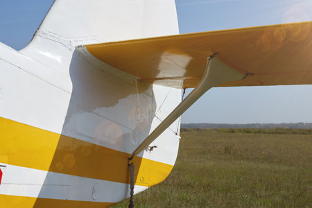 The white tail from the old plane is in good condition in the field.の写真素材